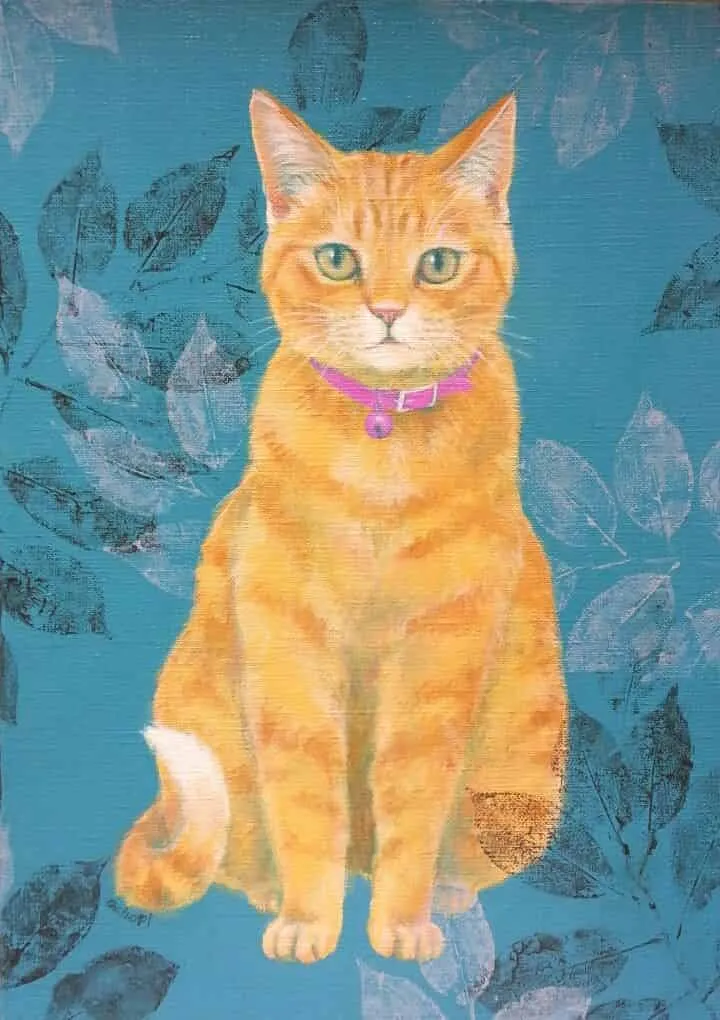 Cute Cat Dp For Whatsapp