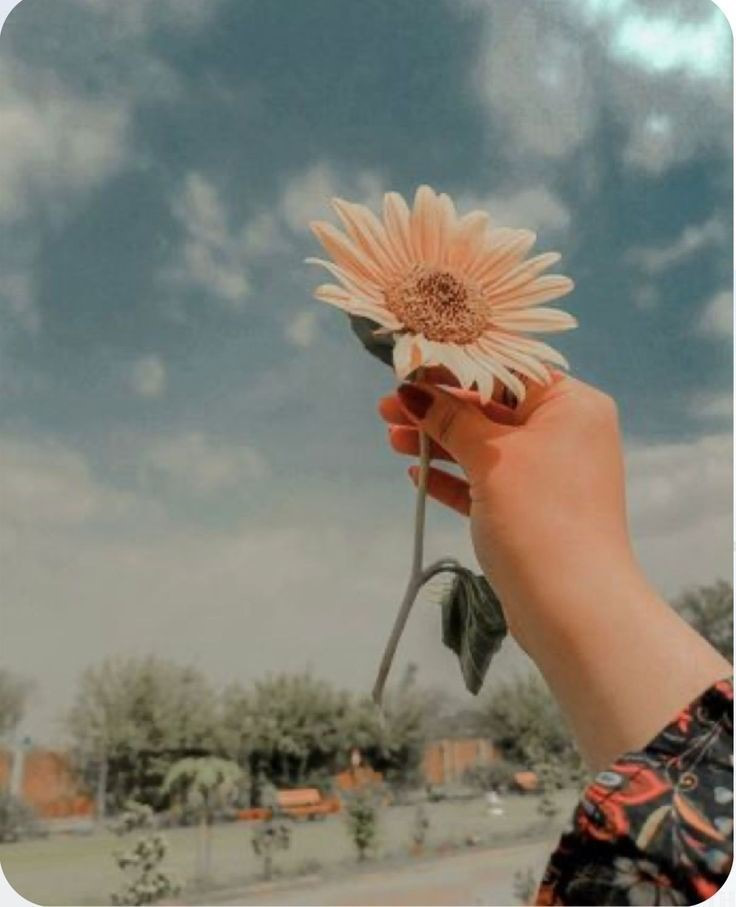 Cute Girl Whatsapp DP Cute Girl Whatsapp DP