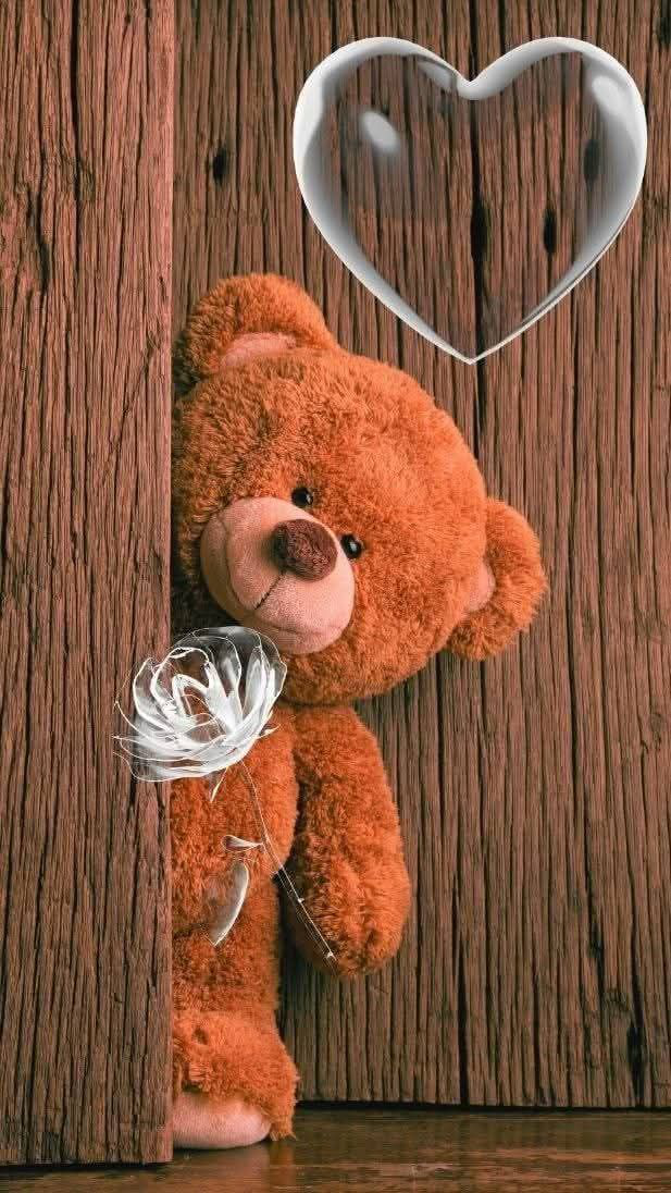 Cute Teddy Bear Pics Cute Teddy Bear Pics