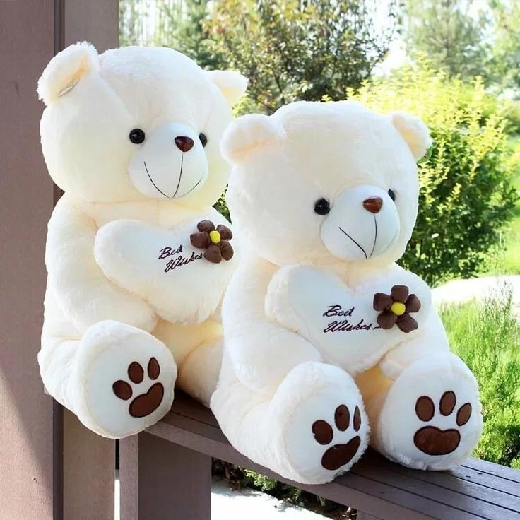 Teddy Bear Couple Dp Teddy Bear Couple Dp