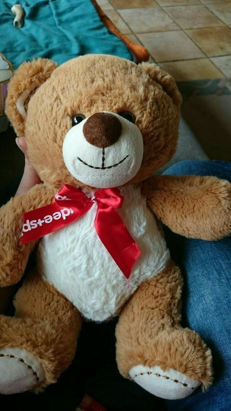 Teddy Bear Pictures Teddy Bear Pictures