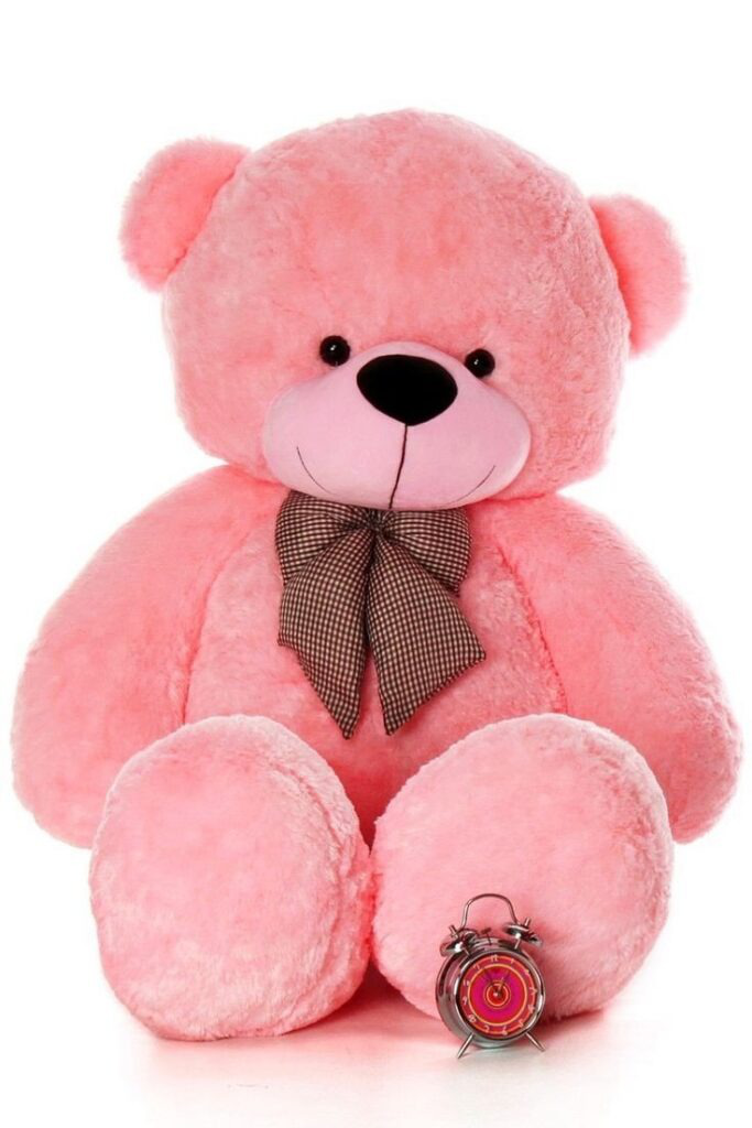 Teddy Bear Stylish Pic Teddy Bear Stylish Pic