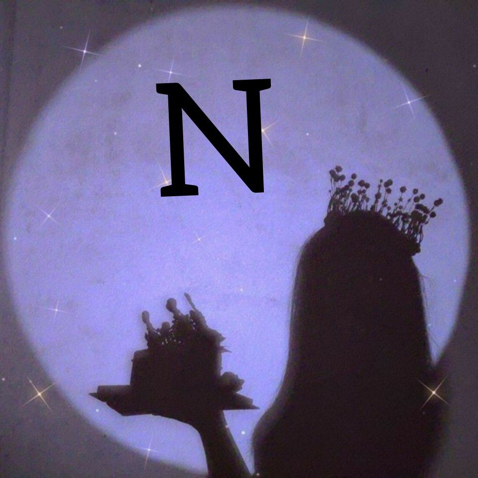 n name dp stylish girl