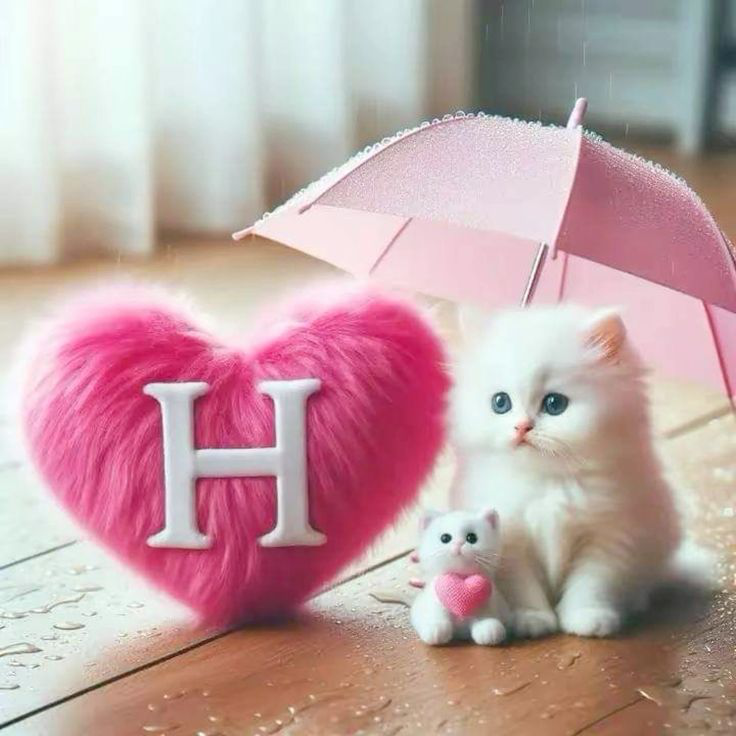 Cool h Name Photo Cool h Name Photo